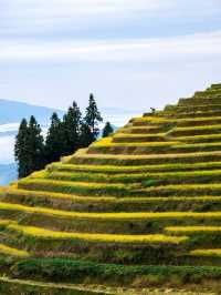 婁底旅遊必備攻略（超全）