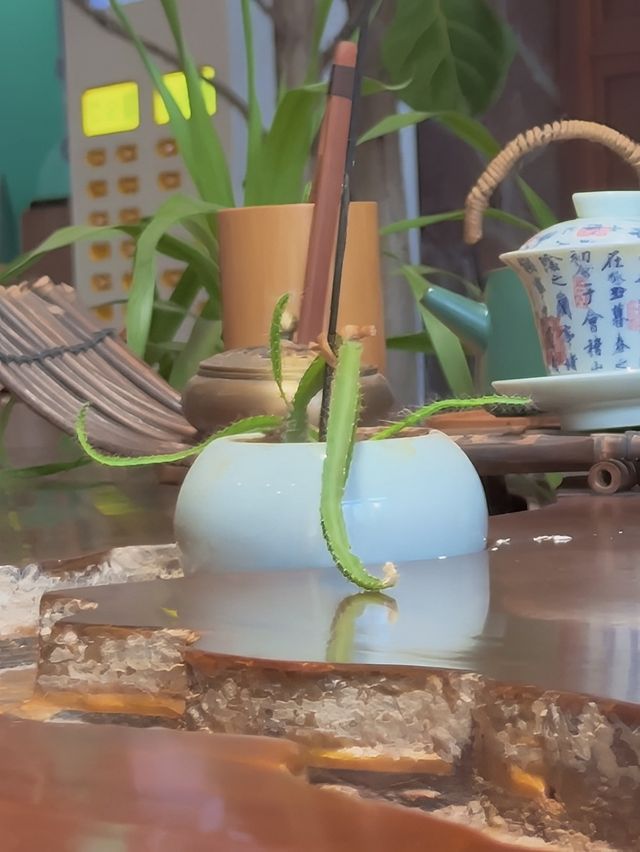 版納獨棟宮殿+雨林泳池美到令人失語！