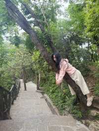 張家界探秘之旅：天門山與森林公園的極致體驗