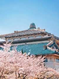 3日暢遊不回頭宜昌-武漢旅遊攻略