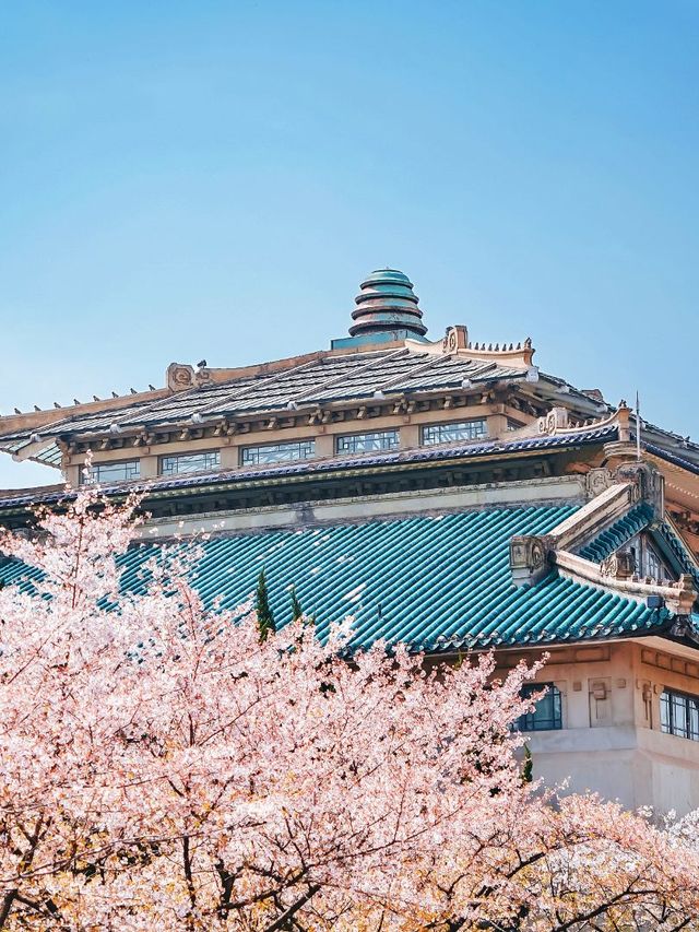 3日暢遊不回頭宜昌-武漢旅遊攻略