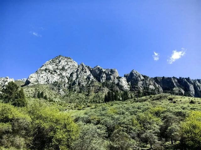 自駕甘南川北流水賬