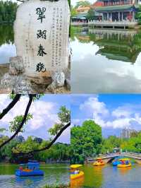 「昆明翠湖公園：城市中的詩意綠寶石」