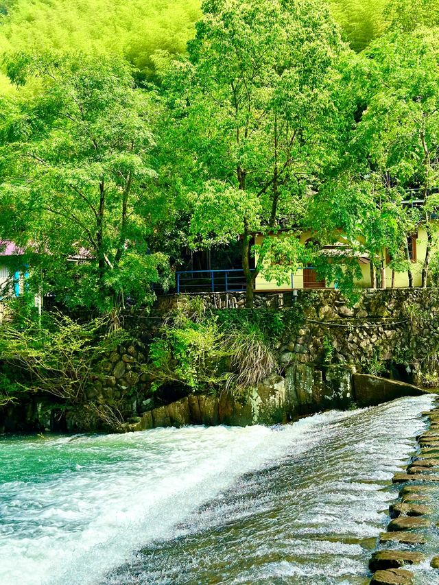 桐廬馬嶺古道：穿越時光的詩意之旅
