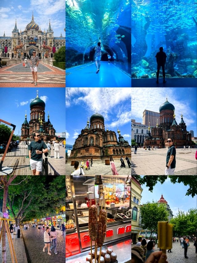 7- day Summer Trip to Harbin 