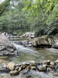 暑假去峨眉山，唔住呢間酒店真係太可惜啦