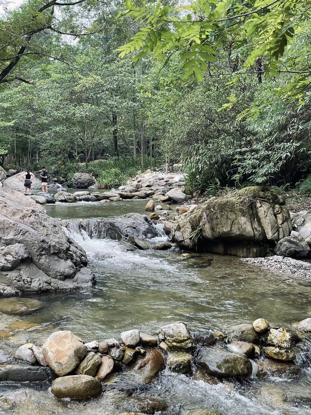 暑假去峨眉山，唔住呢間酒店真係太可惜啦