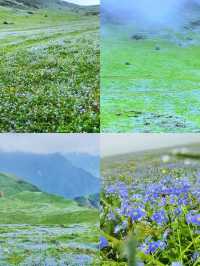 「東川二海草原：昆明北境的隱秘綠野仙蹤」