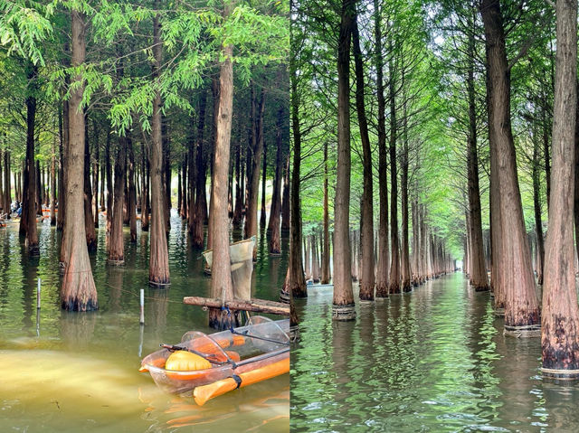 喺滇池邊，我唔見咗我嘅焦慮，想原地退休
