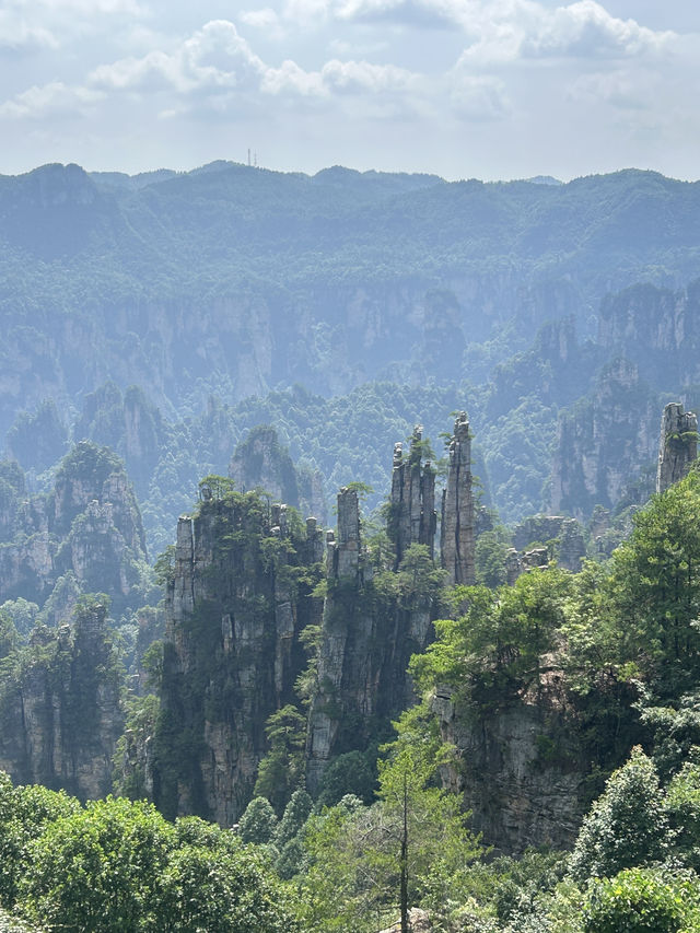 ✨ Trip Moment: Zhangjiajie ✨