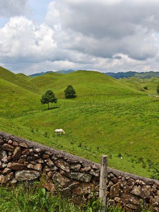 Step into the Southern Hulunbuir at Nanshan Ranch
