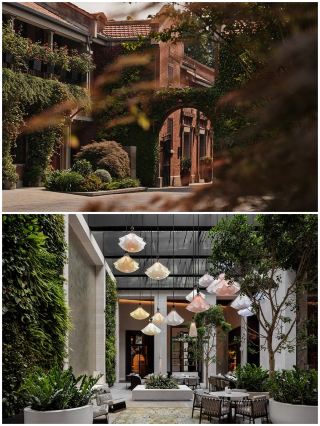 Capella Hotels Feature Guide: Which One to Stay At?