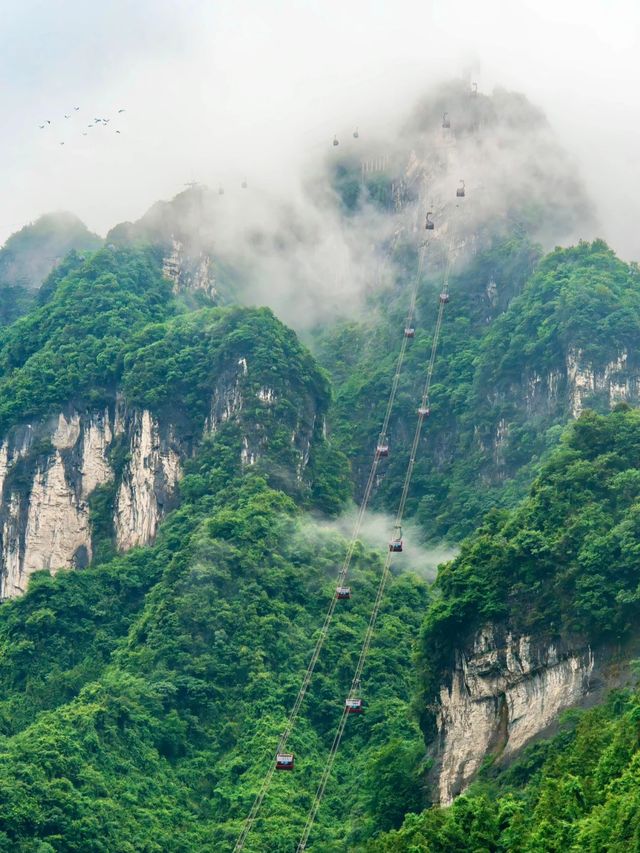 張家界避暑秘境全息地圖