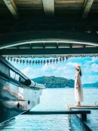 伊根灣絕美海景
