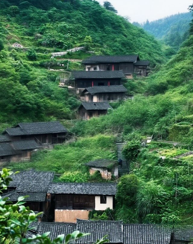 八百年無蚊傳奇！丁屋嶺：深山裡的客家避世秘笈