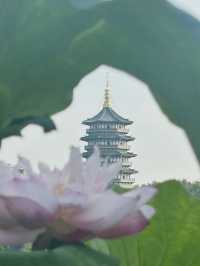 🌄【杭州秘境】拍雷峰塔絕美視角+濟公故事中的運木古井