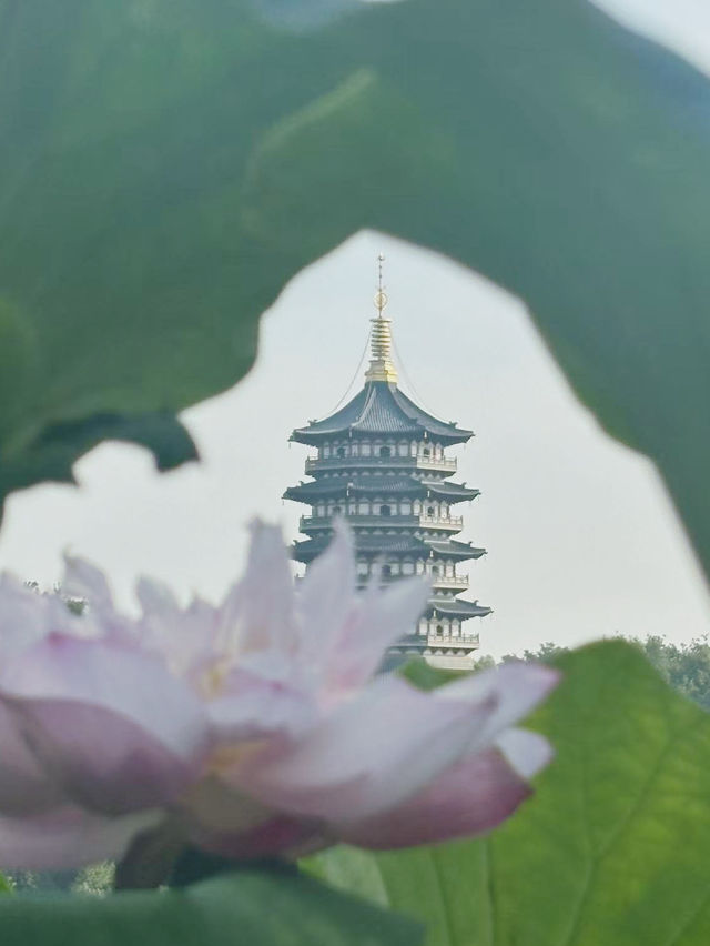 🌄【杭州秘境】拍雷峰塔絕美視角+濟公故事中的運木古井