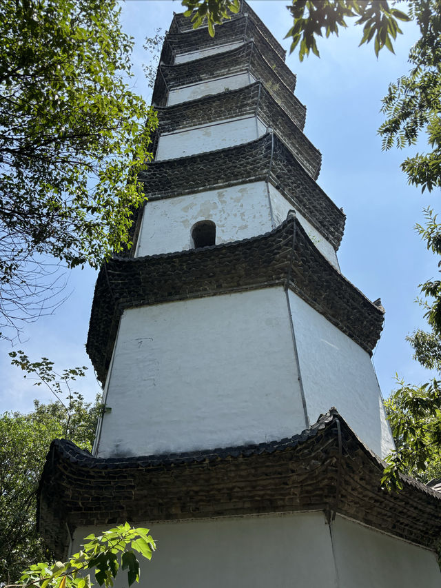 嵊州是個寶藏小縣城,價廉物美 嵊州是個寶藏小縣城,價廉物美