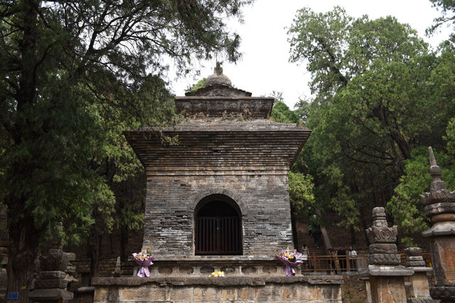 靈巖寺|墓塔林 靈巖寺|墓塔林