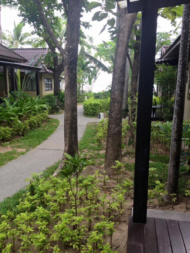 蘇梅島絕美度假體驗