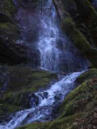 湖北神農架+三峽彩林賞秋自駕攻略