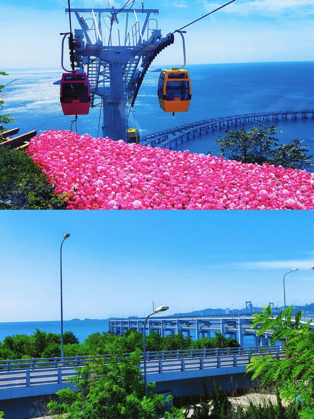 大連3天2夜保姆級攻略濱海浪漫&城市精華一網打盡! 大連3天2夜保姆級攻略濱海浪漫&城市精華一網打盡!