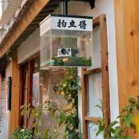 泉州古城探秘：西街之外的小巷風情