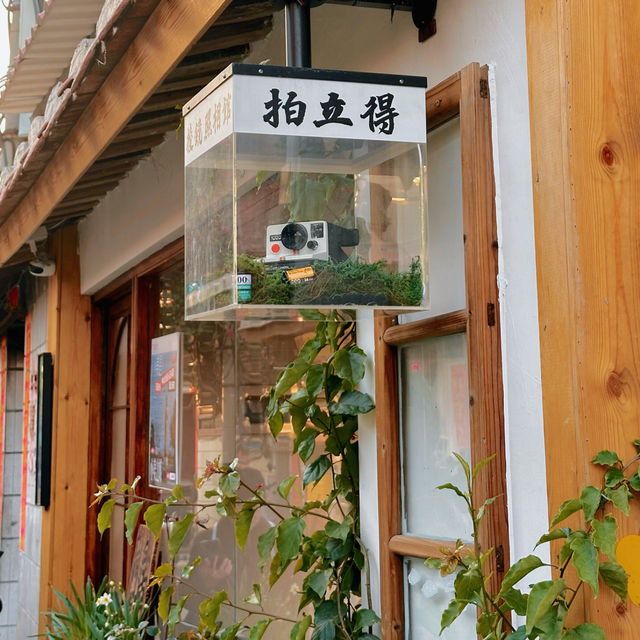 泉州古城探秘：西街之外的小巷風情