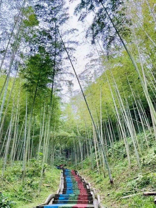 九峰疊翠，原始的生態畫廊：尤溪九阜山景區