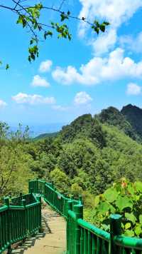 永川茶山竹海真絕了重慶人私藏的避暑秘境