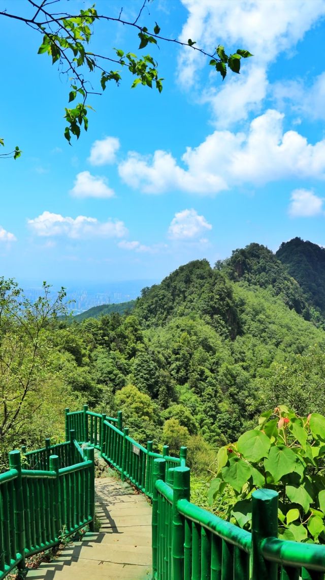 永川茶山竹海真絕了重慶人私藏的避暑秘境