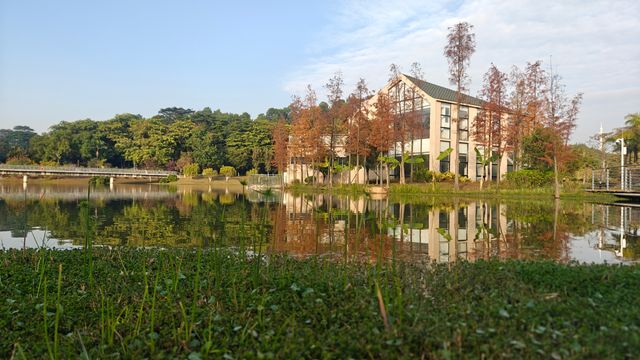 花開時節最浪漫東莞植物園