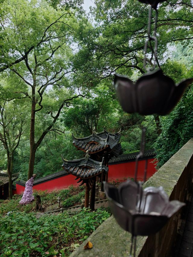 四川瀘州金龍寺藏在山間的禪意秘境 四川瀘州金龍寺藏在山間的禪意秘境