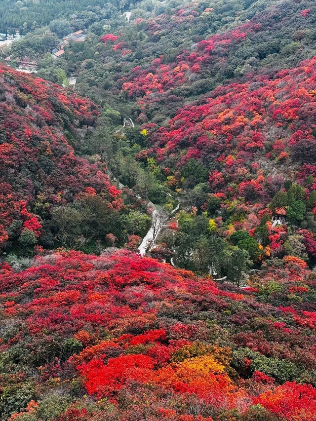 石門坊賞紅葉，邂逅秋日浪漫
