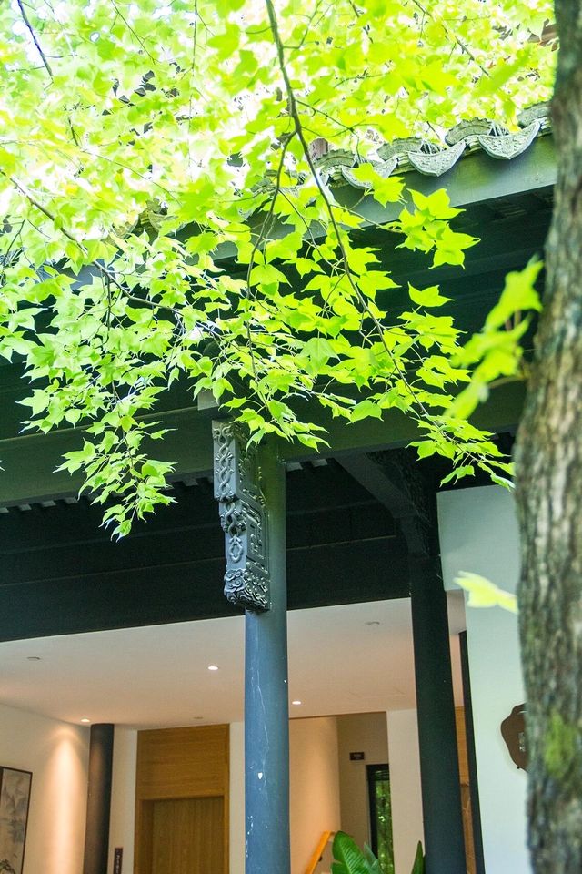紹興遛娃|與山水相逢 住美了千年的古風小鎮