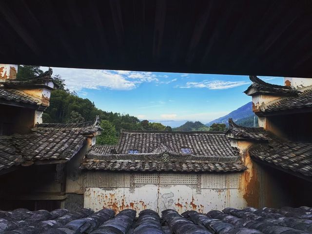 楊家堂村的松陽美學