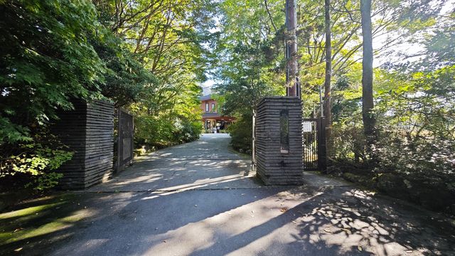 箱根濕生花園 —— 低調、但不可錯過的地方