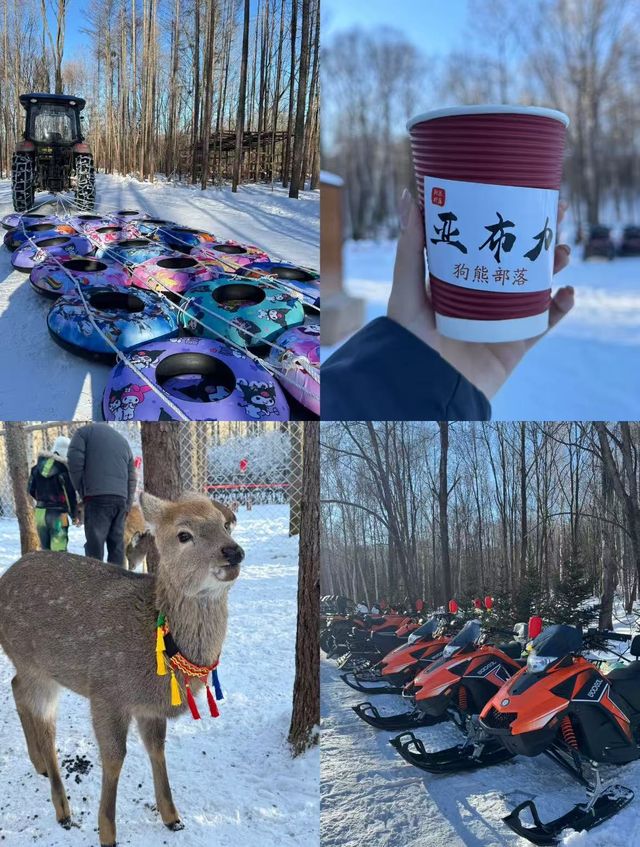 哈爾濱到亞布力 | 十里畫廊的冰雪綺夢