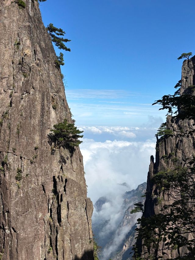 雲海仙境!10月黃山絕美登頂全攻略 雲海仙境!10月黃山絕美登頂全攻略