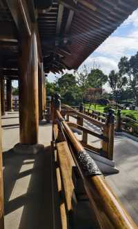 寶山寺紅楓全攻略