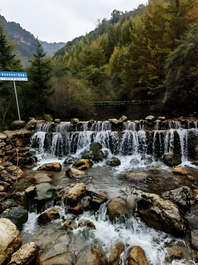 姜子牙渭水釣魚的故事引起我的好奇心…？