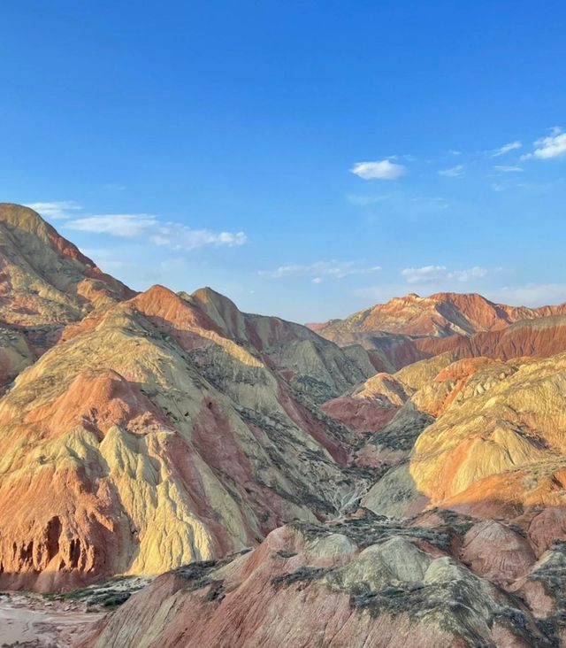 蘭州藏著會呼吸的“天然油畫”,最佳觀賞期僅30天 蘭州藏著會呼吸的“天然油畫”,最佳觀賞期僅30天