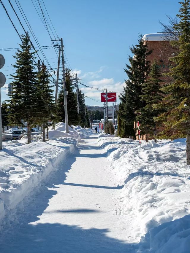 北海道純玩小團太讚!多條經典路線說走就走 北海道純玩小團太讚!多條經典路線說走就走