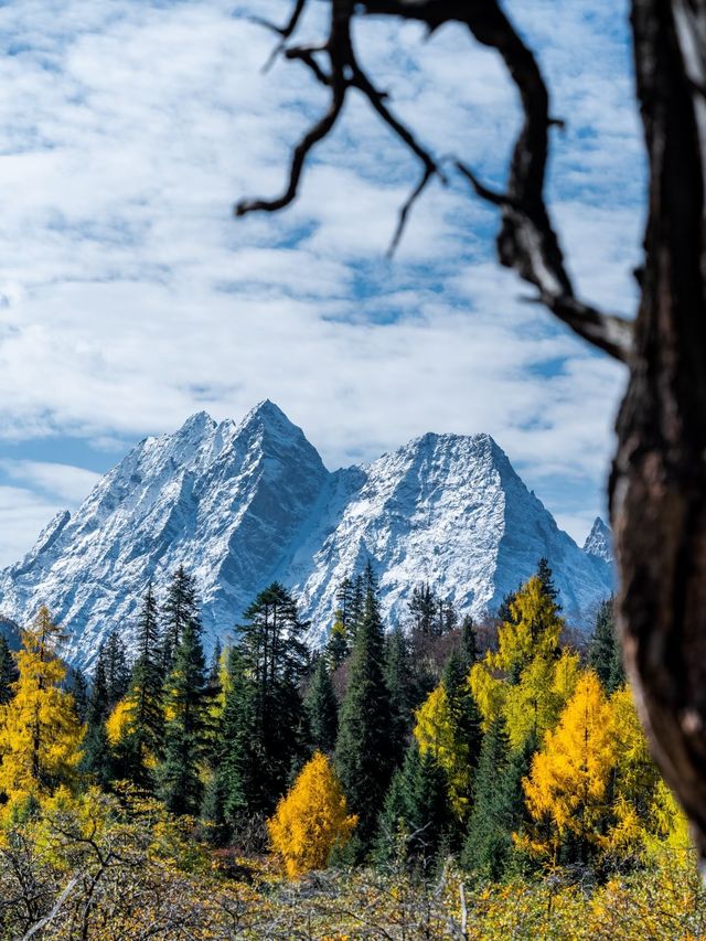 救命 川西秋日私藏秘境！99%人不知道的封神路線