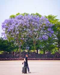說走就走,遇見建水古城性價比拉滿的一家花園美宿
