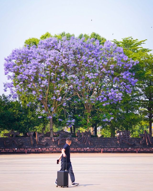 說走就走,遇見建水古城性價比拉滿的一家花園美宿 說走就走,遇見建水古城性價比拉滿的一家花園美宿