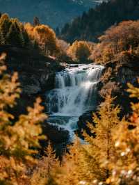 娃放電計劃！光霧山趣玩2天，爸媽也輕鬆