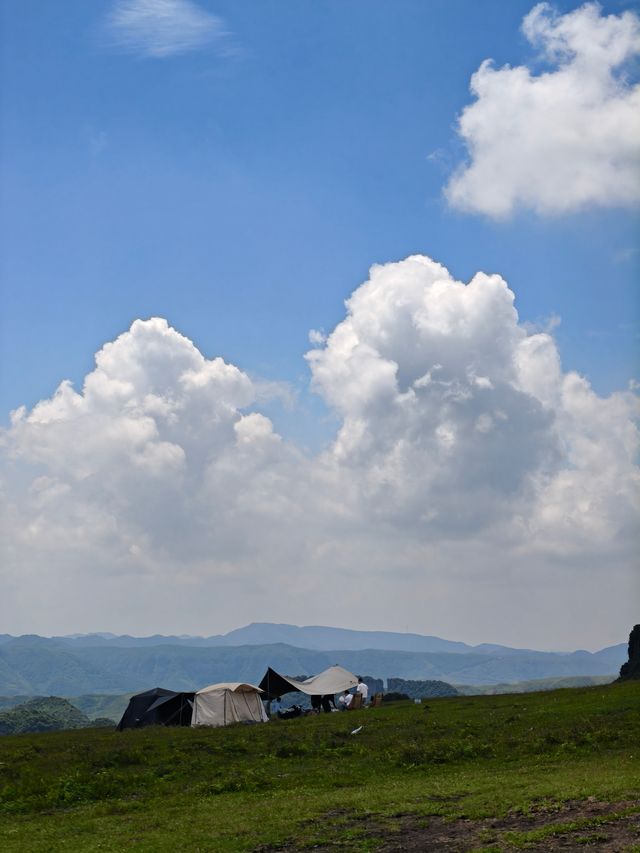 阿西里西大草原：把風揉成浪，把浪漫種滿坡