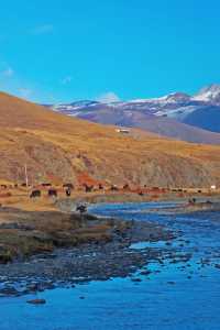 日照金山，雪山彩林，我在川西的油畫世界拍大片！