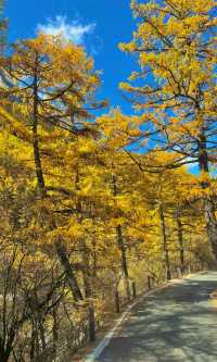 真的太好看了稻城亞丁，每一張都像壁紙一樣實拍！！！